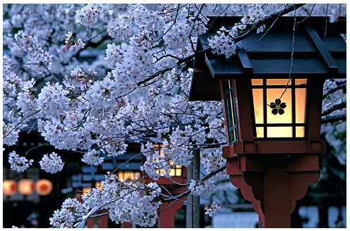 Japan a Beautiful Places Tourism and Travell Guide