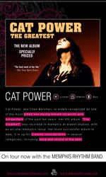 Cat Power Email Newsletter Template for Email Marketing
