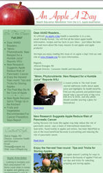 Custom Email Newsletter Template for Email Marketing