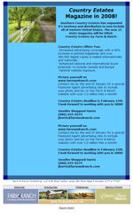 Cards Layout 1 Email Newsletter Template for Email Marketing
