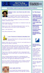 Style 2 Email Newsletter Template for Email Marketing