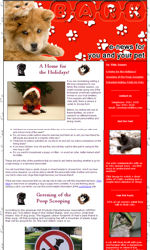 Pet Care News Email Newsletter Template for Email Marketing