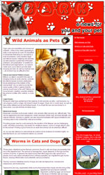 Pets Email Newsletter Template for Email Marketing