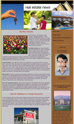 Real Estate Email Newsletter Template for Email Marketing