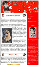 Pets Email Newsletter Template for Email Marketing