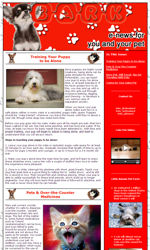 Pets Email Newsletter Template for Email Marketing