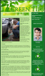 Green News Email Newsletter Template for Email Marketing