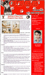 Pet Care News Email Newsletter Template for Email Marketing