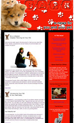 Pets & Vets Email Newsletter Template for Email Marketing