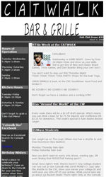 Formal Side Article Email Newsletter Template for Email Marketing