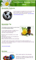 Spring Basic Email Newsletter Template for Email Marketing