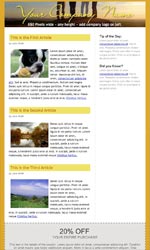 Layout 4 Email Newsletter Template for Email Marketing