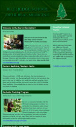 Basic Layout 4 Email Newsletter Template for Email Marketing