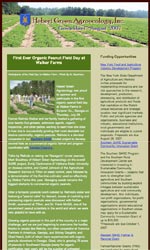 Green Business Email Newsletter Template for Email Marketing