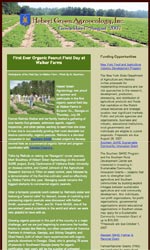 Basic Layout 4 Email Newsletter Template for Email Marketing