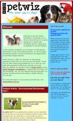 Pet Care Email Newsletter Template for Email Marketing