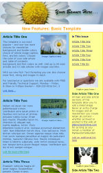 Template Example Email Newsletter Template for Email Marketing