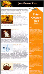 Coupon Tag Promotion Email Newsletter Template for Email Marketing