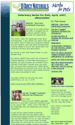 Side Image Style 2 Email Newsletter Template for Email Marketing