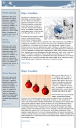 Winter 2 Email Newsletter Template for Email Marketing