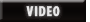 Click to play Tom Goldtooth comments on the Copenhagen Climate March 